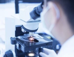 Microscopy